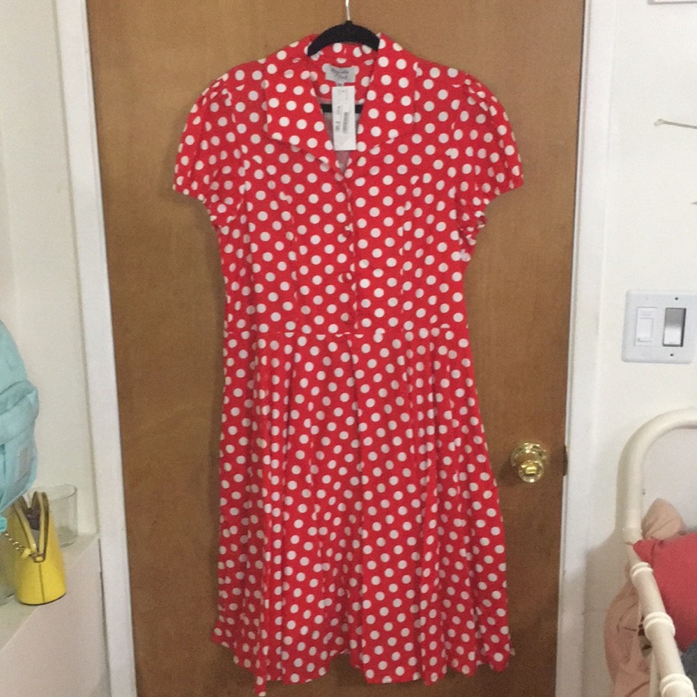 Magnolia Park Polka Dot Button Dress